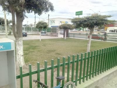 Unidad de Medicina Familiar No 15