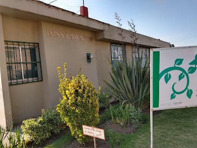 IMSS UMF 20
