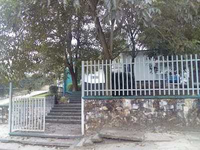 IMSS 31 Tancanhuitz